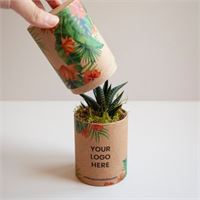 CACTUS IN TUBO CACTUBE